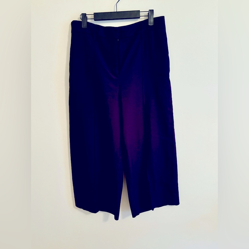 Ann Taylor navy dress pants, size 10